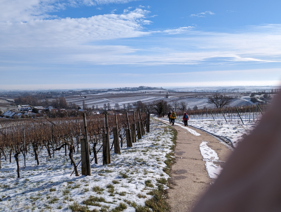 Rund um die Madenburg,
21. Januar 2024